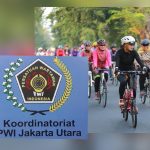 PWI Fun Bike