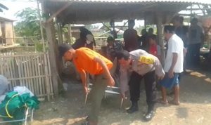 Binamas jurnalkota.online