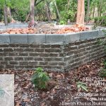 Hutan Kota Srengseng