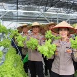 Dukung Ketahanan Pangan