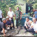 Evakuasi Seekor Buaya