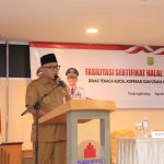 Wali Kota Tanjungpinang Lis Darmansyah