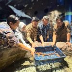 Perkenalkan Hiu Berjalan Halmahera