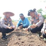 Polresta Tanjungpinang Tanam Jagung