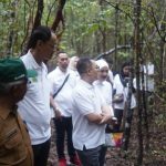 Penanaman Pohon Pelepek