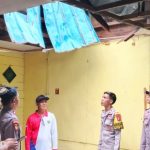 Pohon Kelapa Tumbang