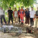 Evakuasi Buaya_11zon