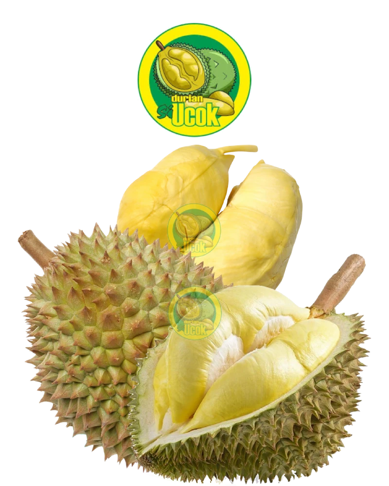 Durian Montong Jakarta