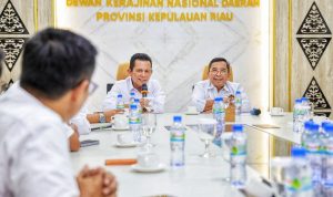 PemprovKepri