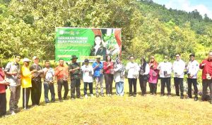 Gerakan Tanam Bibit Buah_11zon