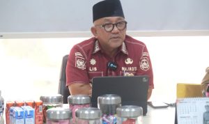 Lis Darmansyah